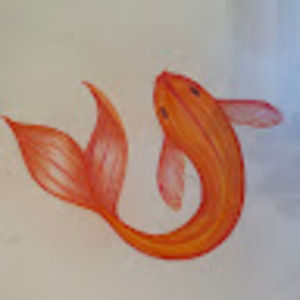 Meet your Posher, Dexan